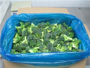 Floretes de brócoli congelados
